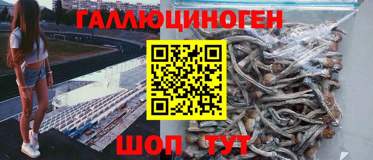 Галлюциногенные грибы мухоморы Саяногорск