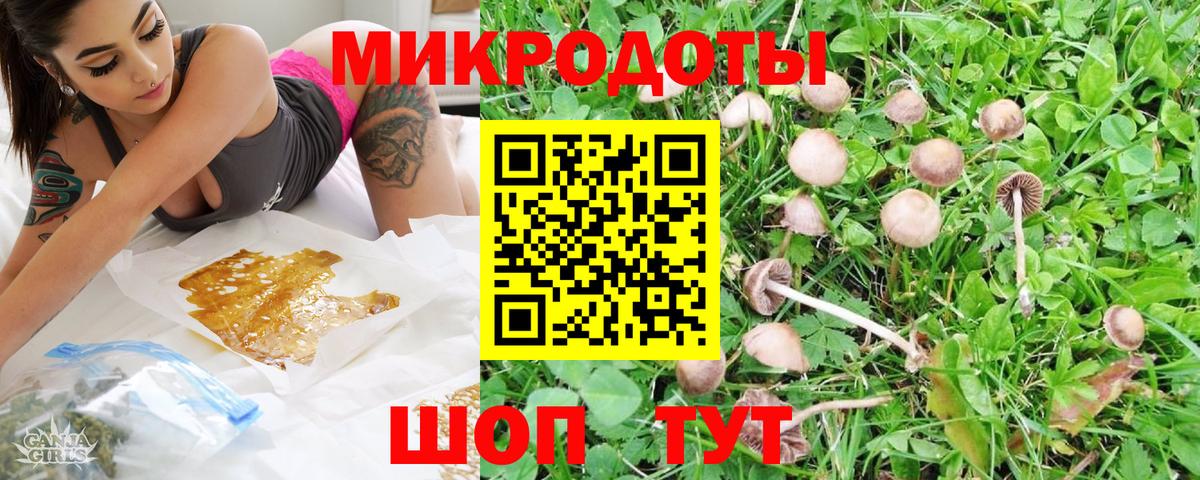 Саяногорск  Псилоцибиновые грибы Psilocybine cubensis  Вход с VPN  Галлюциногенные грибы Psilocybine cubensis 